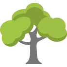 Los Angeles Tree Trimming Service