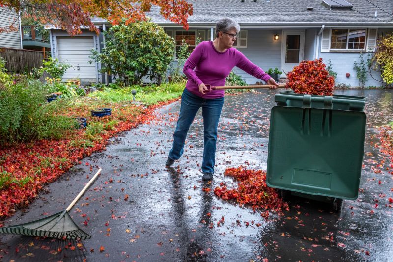 Leaf Collection Bins