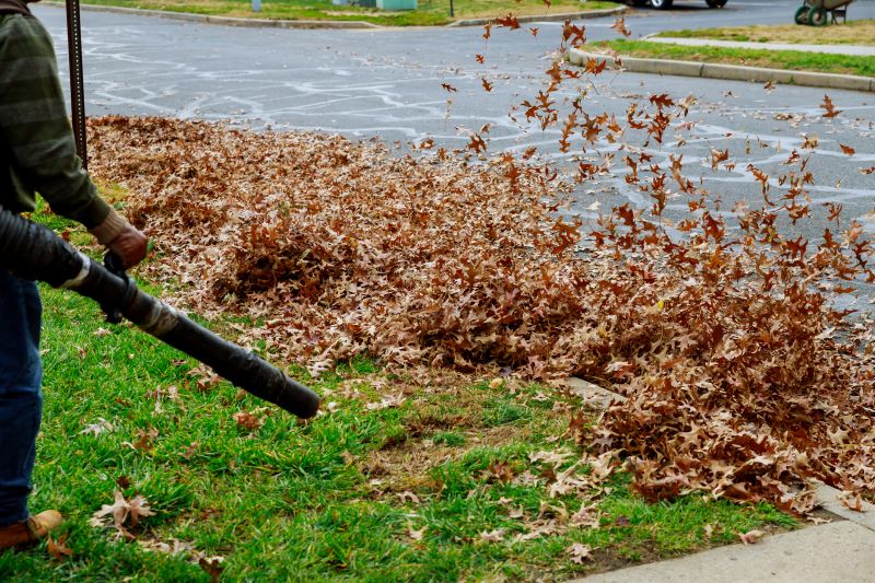Leaf Blowing for Clean Surfaces